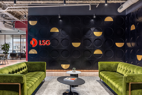 LSG Project